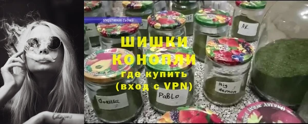 PSILOCYBIN Балахна