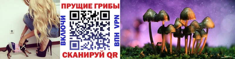 где можно купить Топки Псилоцибиновые грибы мухоморы