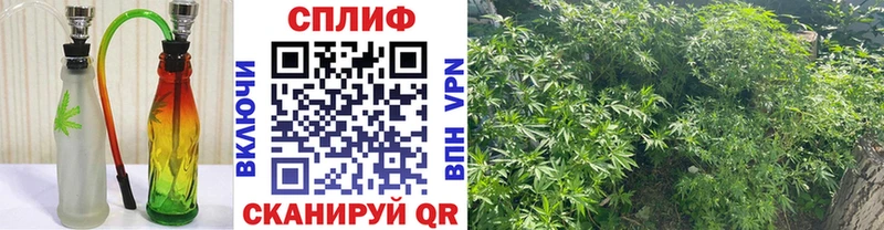 blacksprut tor  где купить наркоту  нарко площадка как зайти  Бошки марихуана семена  Топки 